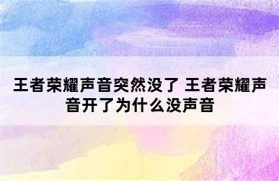 王者荣耀声音突然没了 王者荣耀声音开了为什么没声音